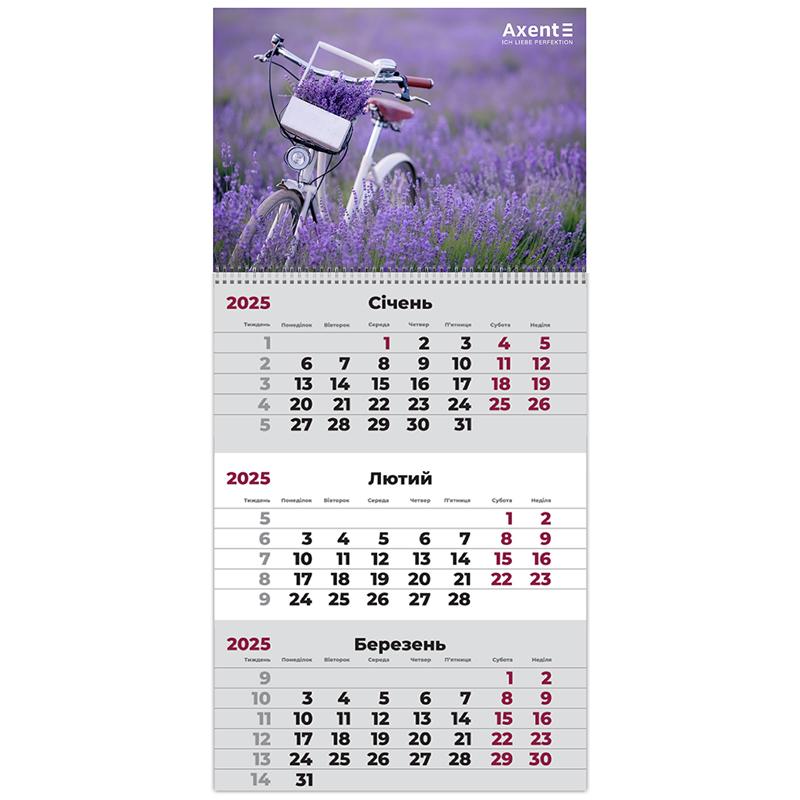 Календар настінний квартальний на 2025 р., AXENT, 1 пружина, малюнок асорті (8801-25-A)